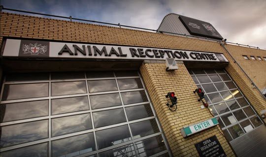 london heathrow international animal transport & reception center